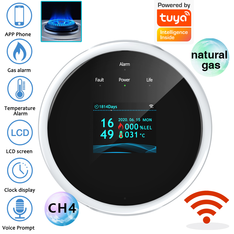 Home Security App - Capteur d'alarme de gaz WiFi 2.4G,