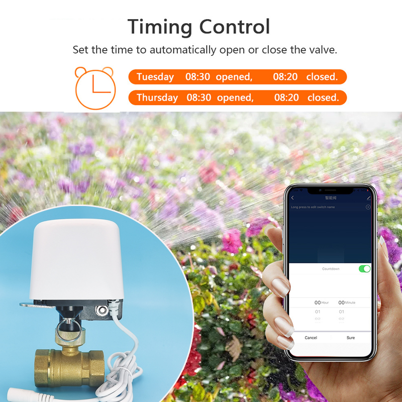 Vanne d'eau intelligente Tuya  - Home Security App avis et prix