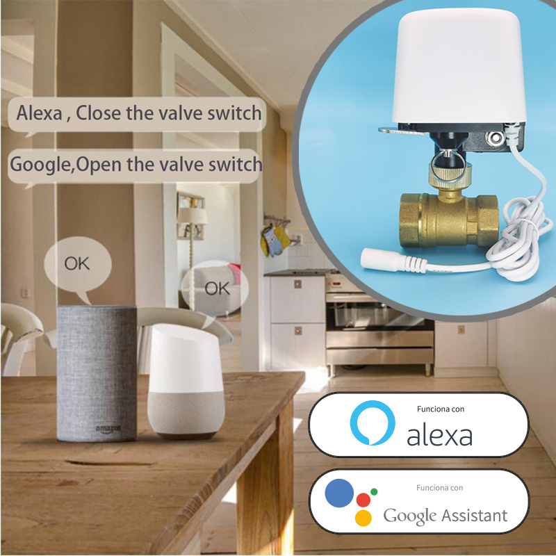 Vanne d'eau intelligente Tuya  - Home Security App avis et prix