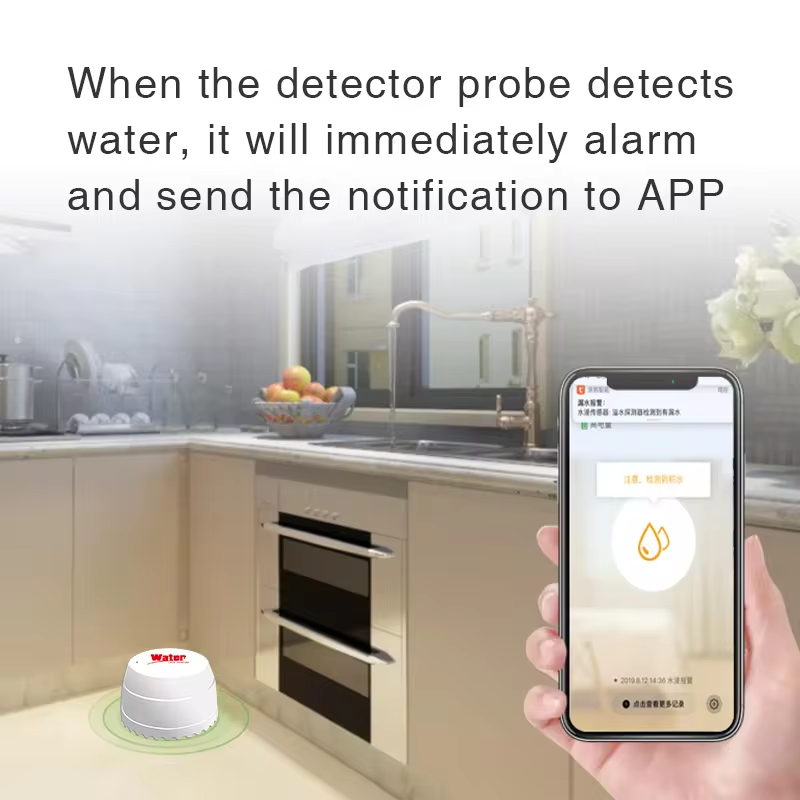 Tuya – détecteur de fuite d'ea - Home Security App avis et prix