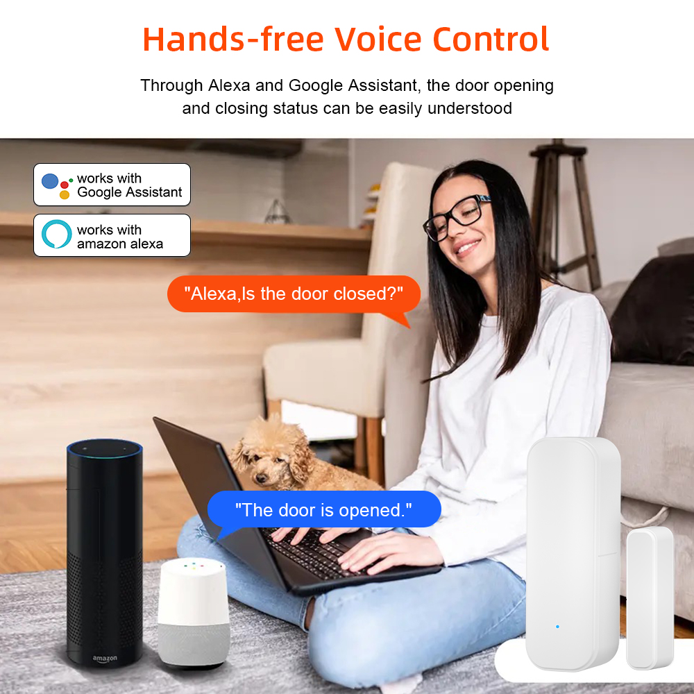 Tuya – capteur de porte et fen - Home Security Alexa avis et prix