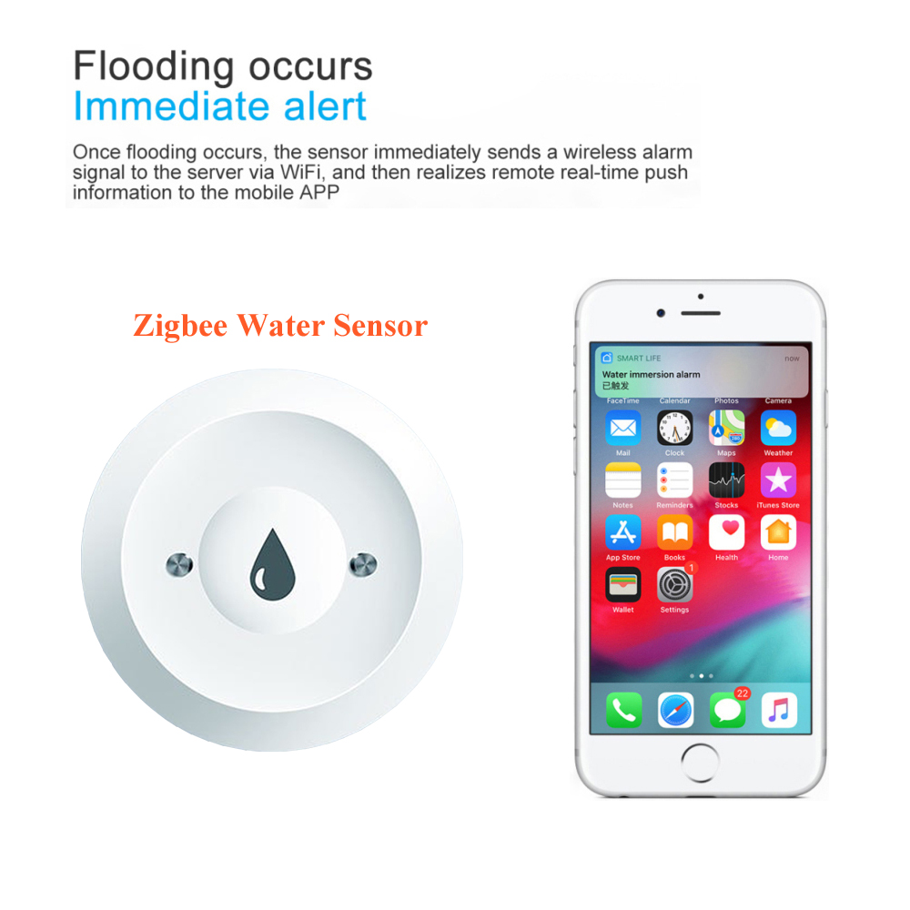 Tuya capteur de fuite d'eau ma - Home Security App avis et prix