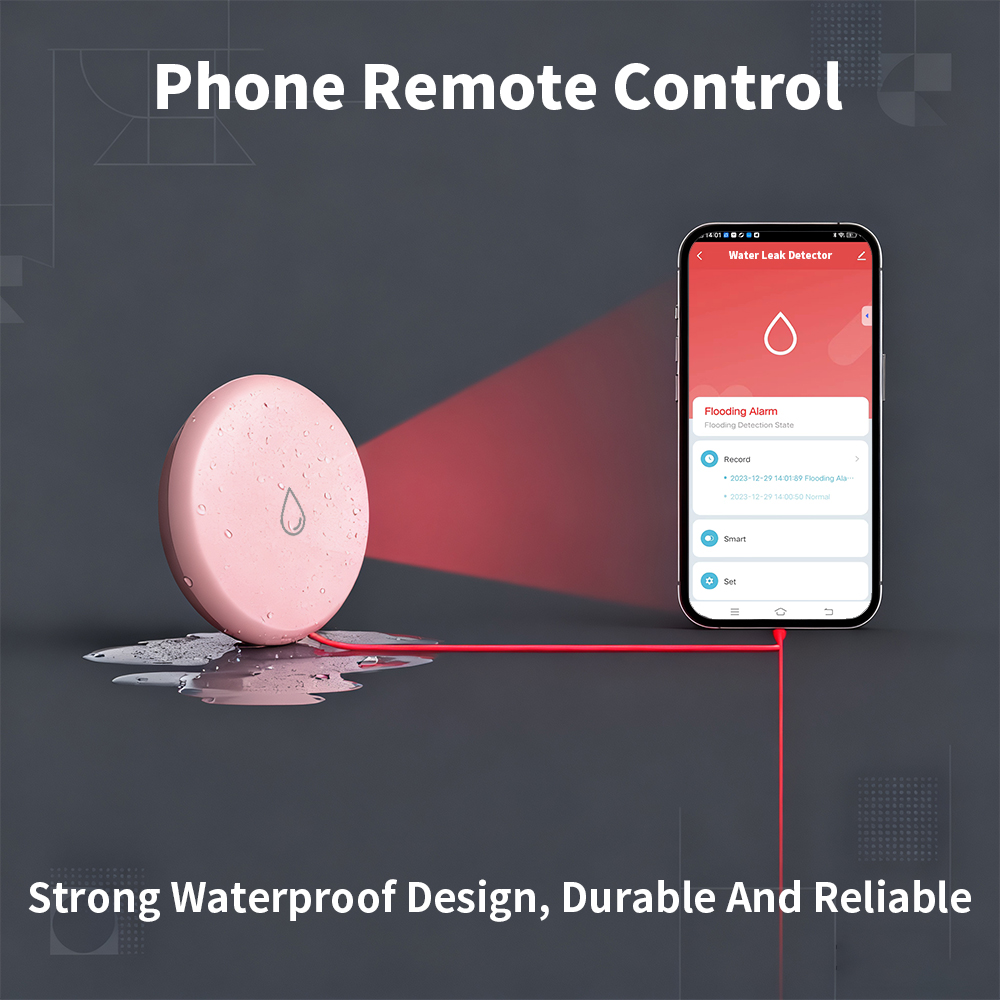 Détecteur de fuite Zigbee, dét - Home Security App avis et prix