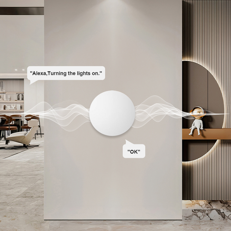 Bouton intelligent sans fil Zi - Home Security Alexa avis et prix