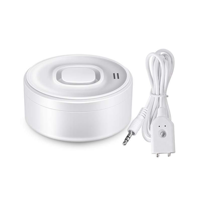 Détecteur de fuite d'eau 100DB - Home Security Alexa avis et prix