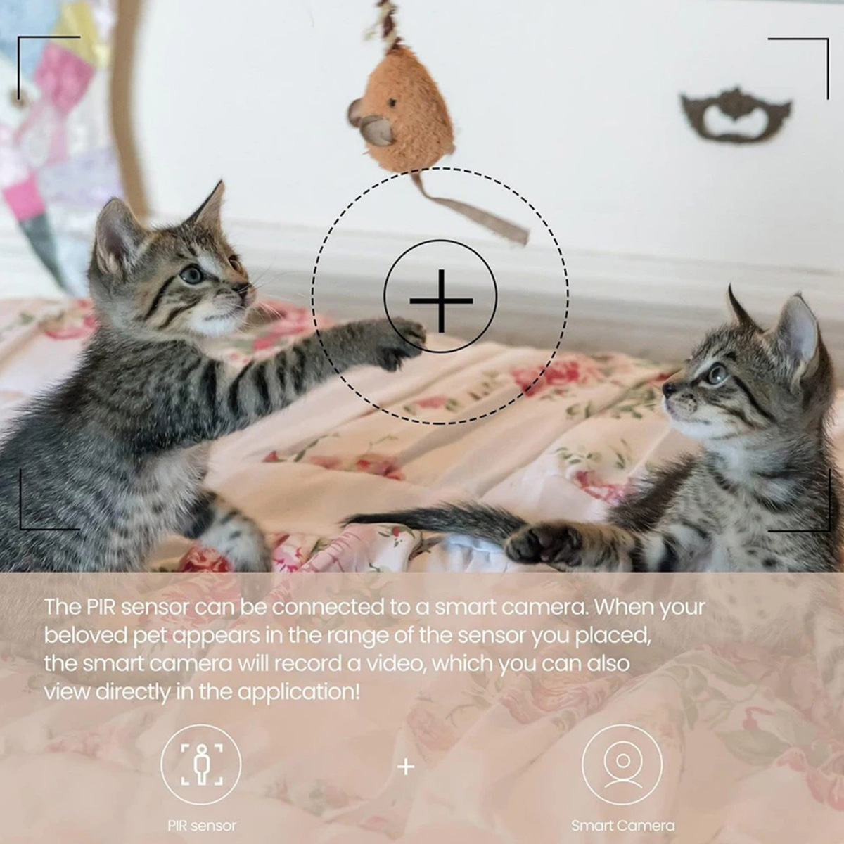 Capteur de mouvement PIR ZigBe - Home Security Alexa avis et prix