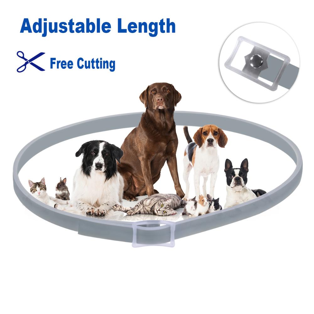 Collier anti-puces et anti-tiq - Pet Immune Pir Sensor avis et prix