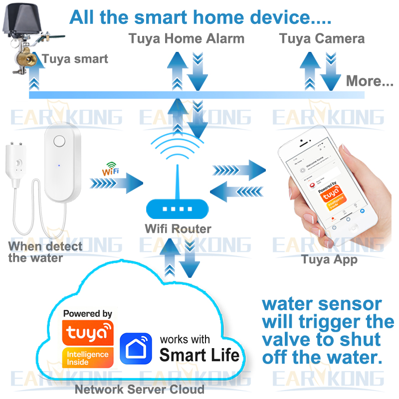 Tuya – capteur de fuite d'eau  - Home Security App avis et prix